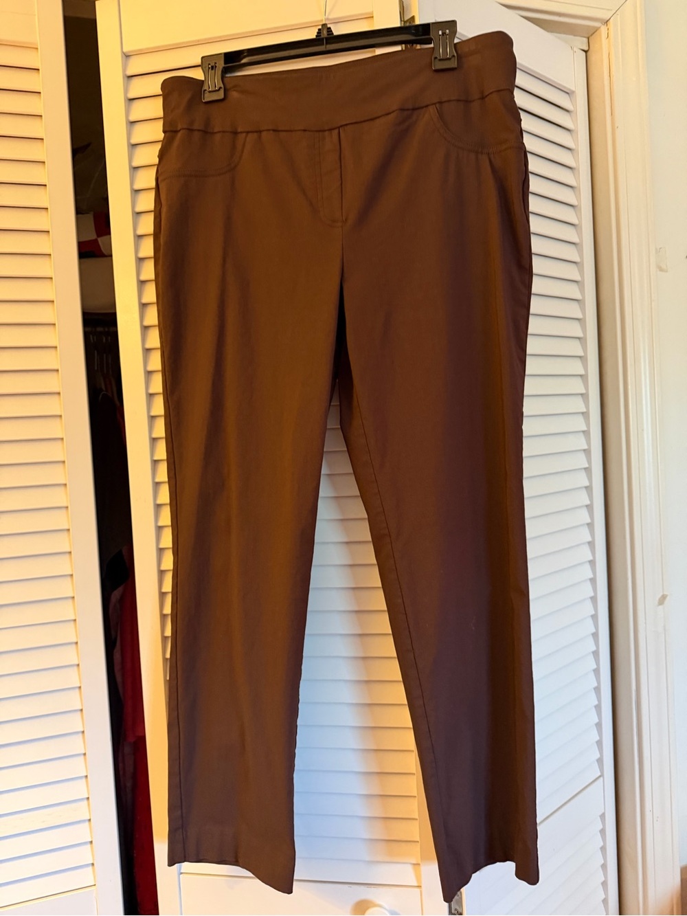 Ruby Rd. Brown Straight-Leg Pull-On Pants sz 12